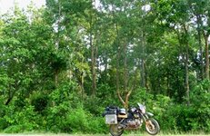 jungle bike.jpg