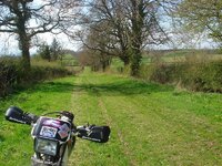DSC02116.jpg