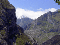 car5.gif