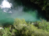 car7.gif