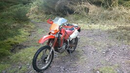 DSC_0322.jpg
