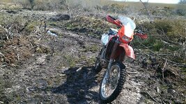 DSC_0323.jpg