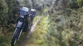 DSC_0113.jpg