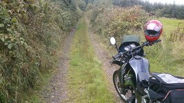 DSC_0117.jpg