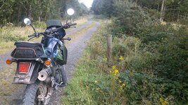 DSC_0119.jpg