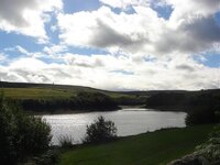 DSC02359.jpg