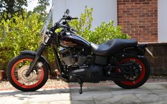 Street Bob in profile (2) (800x499).jpg