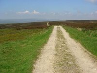 DSC02179.jpg
