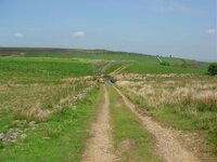DSC02180.jpg