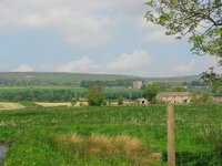 DSC02184.jpg