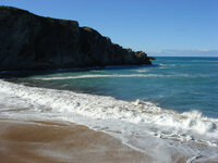 DSC01734   2.jpg