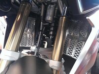 WP_000378.jpg
