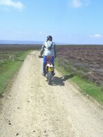 SV104506 bare arse.jpg