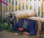 weekend2.jpg
