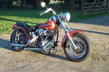 harley 0373.jpg
