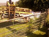 wood2.jpg