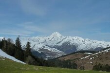 Aspin.JPG
