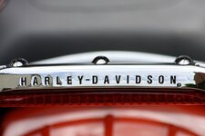 IMG_4553.jpg