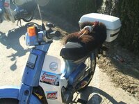 Earl rests in Spain.JPG