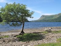 IMG_5414e.jpg