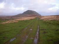 IMGP0014 (Small).JPG