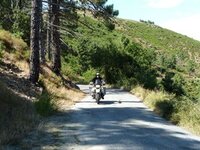 corsica1.jpg