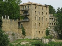 IMG_4374.JPG