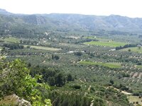 IMG_4457.JPG