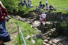 IMG_2445.jpg