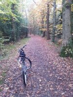TARKA TRAIL.jpg