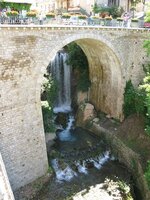 IMG_4539.JPG