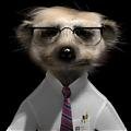 SERGEI.jpg