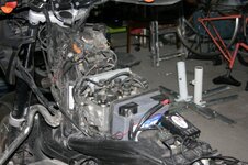 IMG_0516.jpg