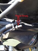 hose 2 with arrow.jpg