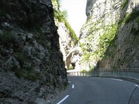 IMG_4641.JPG