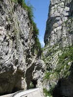 IMG_4646.JPG