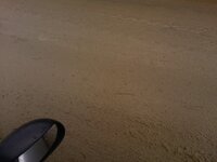 WP_001180.jpg