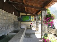 IMG_4678.JPG