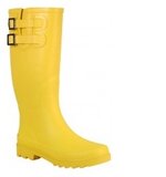 wellies.jpg
