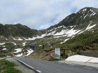 IMG_4764.JPG