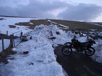 How far for a Haggis 010.jpg