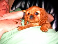 CHESTER & JULIE 00032.jpg
