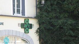 IMG_4886.JPG