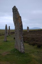 DSC_1862.JPG