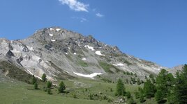 IMG_4986.JPG