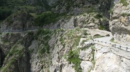 IMG_5051.JPG