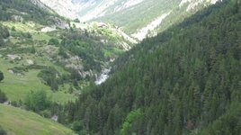 IMG_5043.JPG