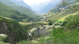 IMG_5057.JPG