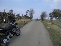 IMG_3265.jpg