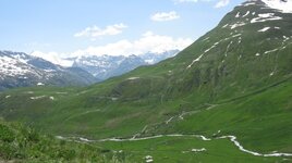 IMG_5139.JPG